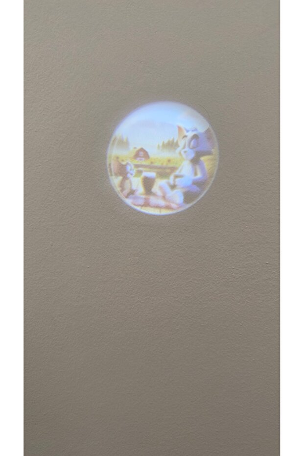 Reflective Keychain with Light and Indicator - 4