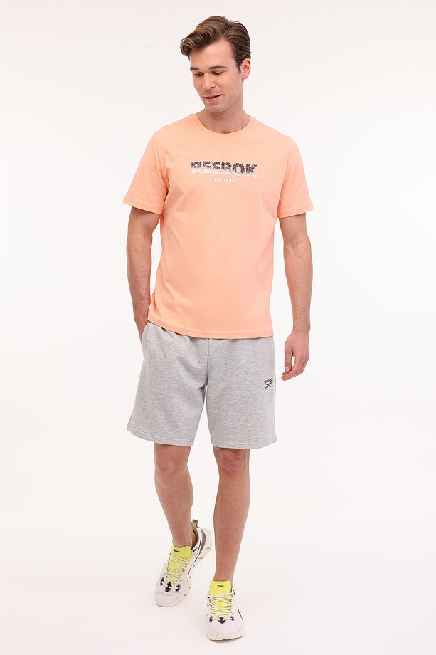 New Id Reg Short Gri Erkek Şort - 3
