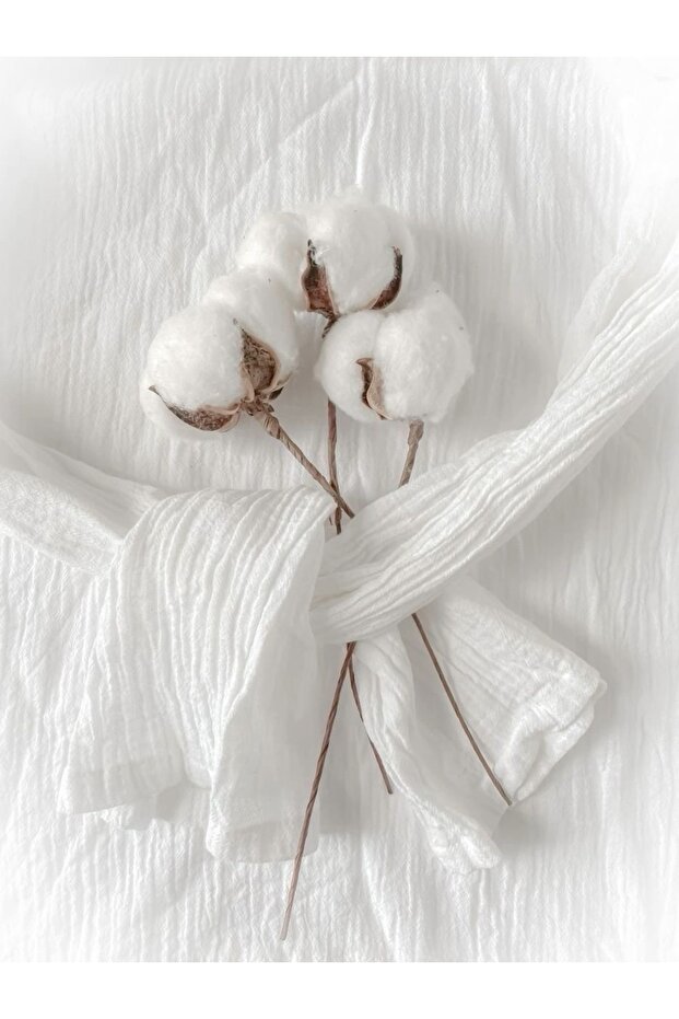 Muslin Pamuk - 2
