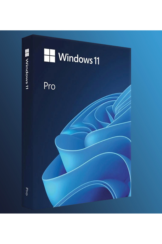 Windows 11 Pro - 1