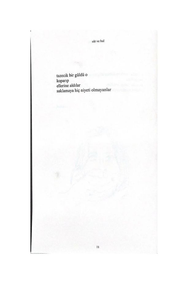 Süt Ve Bal - Rupi Kaur - 6