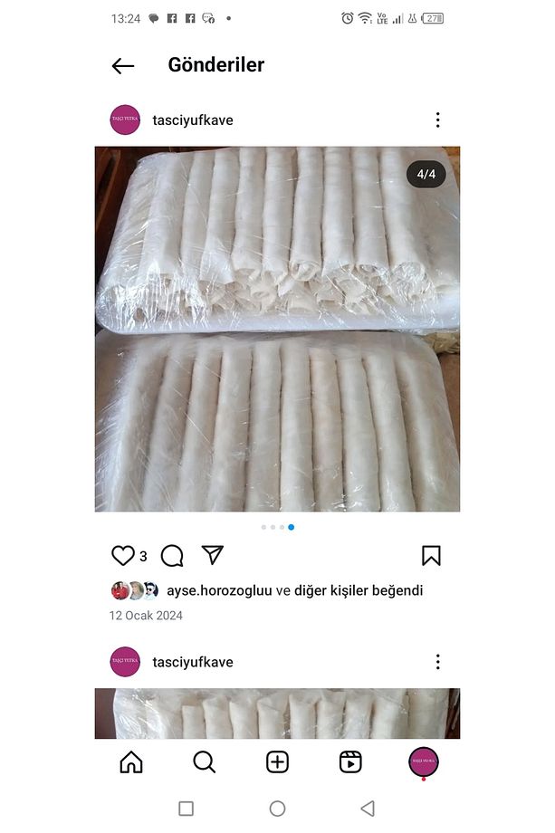 Sigara böreği - 1