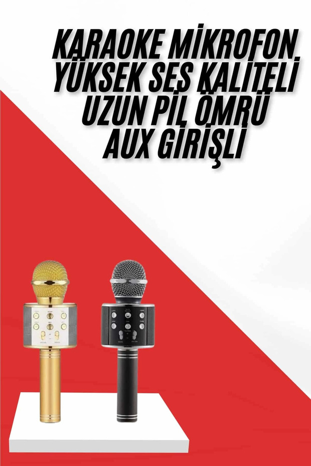 Karaoke Mikrofon Dahili Hoparlörlü Sd-usb-aux Girişli Bluetooth Hoparlör - 1