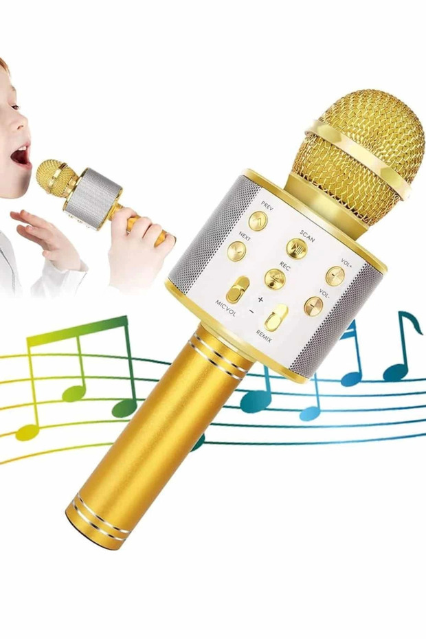 Karaoke Mikrofon Dahili Hoparlörlü Sd-usb-aux Girişli Bluetooth Hoparlör - 4