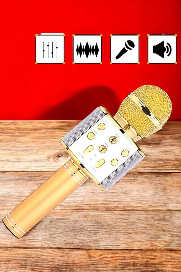 Şarjlı ve Uzun Pil Ömürlü Karaoke Mikrofon USB Bellek Destekli, Profesyonel Ses - 4