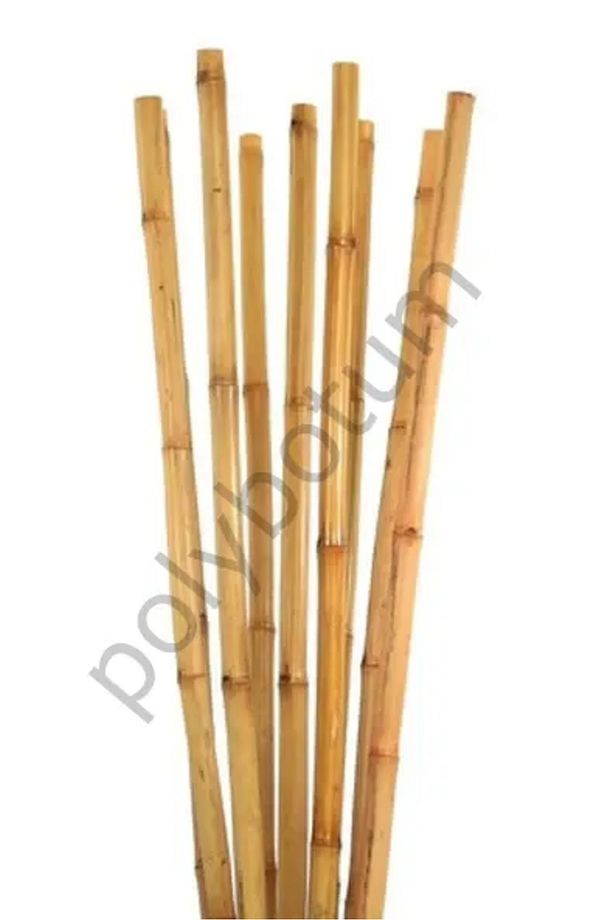 Bambu Bitki Destek Çubuğu 100 cm 10'lu | Saksı, Bahçe, Sarmaşık ve Çiçekler İçin Doğal Destek - 3