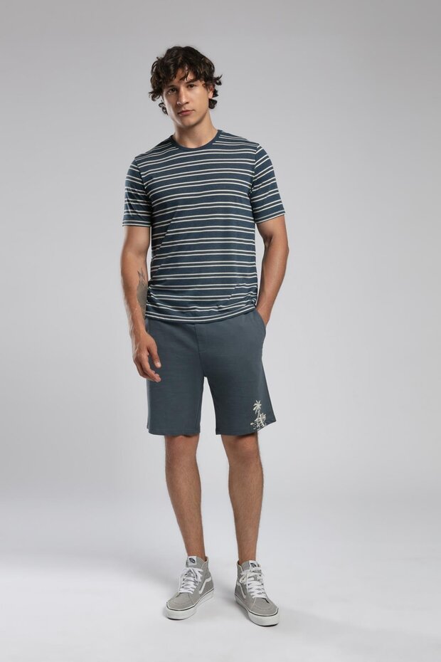 Jevon men's o-neck t-shirt indigo-ecru striped