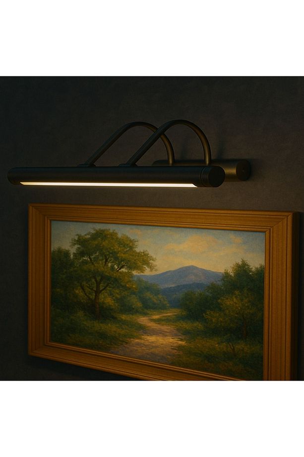 Şık LED Tablo ve Duvar Apliği Sanat İçin Dekoratif Üst Aydınlatma Siyah Metal Gövde Sıcak Işık - 3