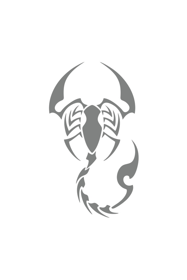 Scorpion Car Sticker 17X17 cm Gray