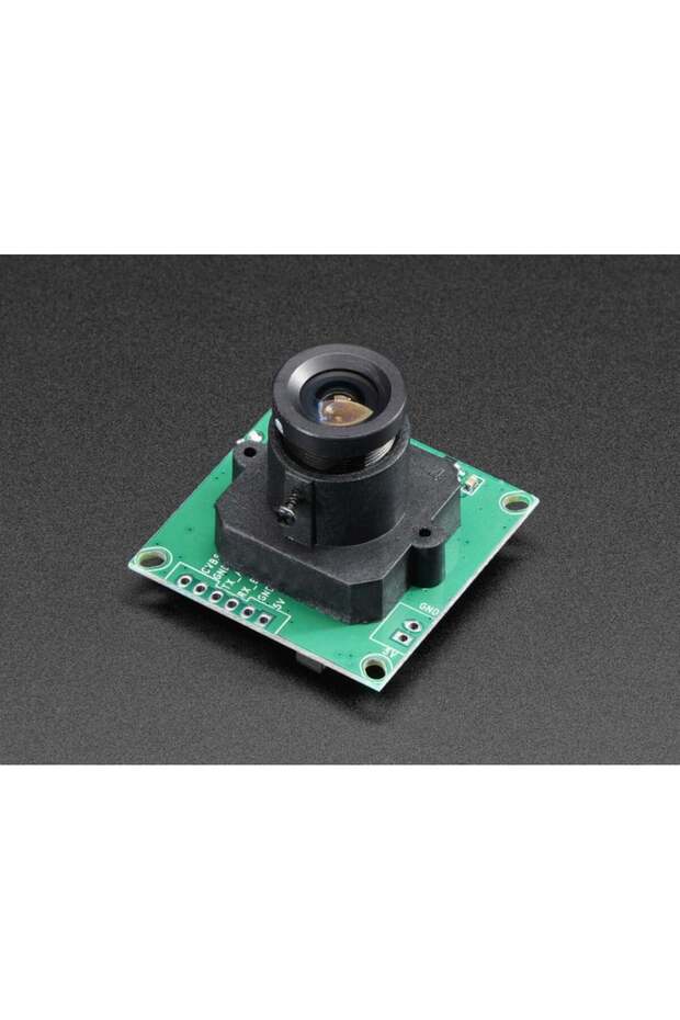 TTL camera module with NTSC video - 1
