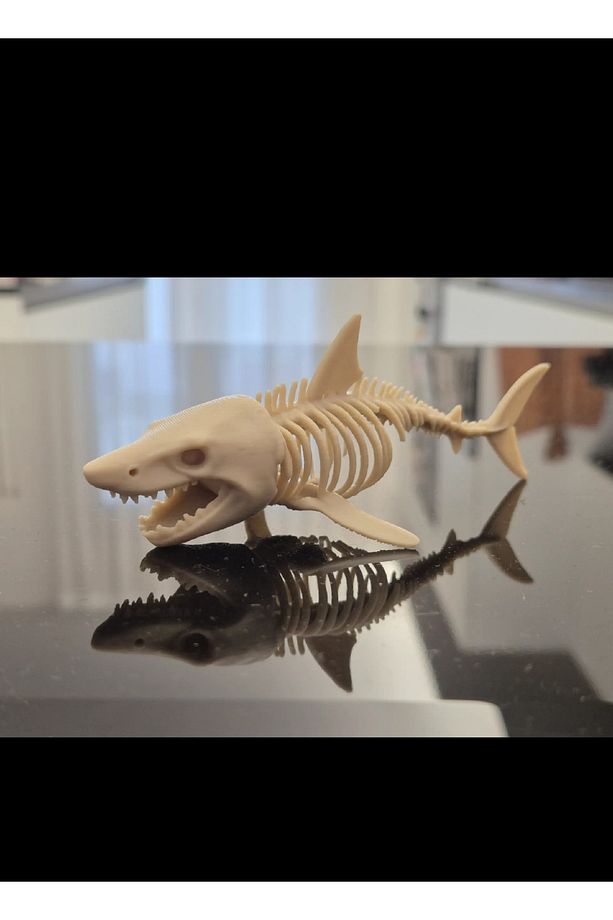 Köpekbalığı İskelet Figür - 1