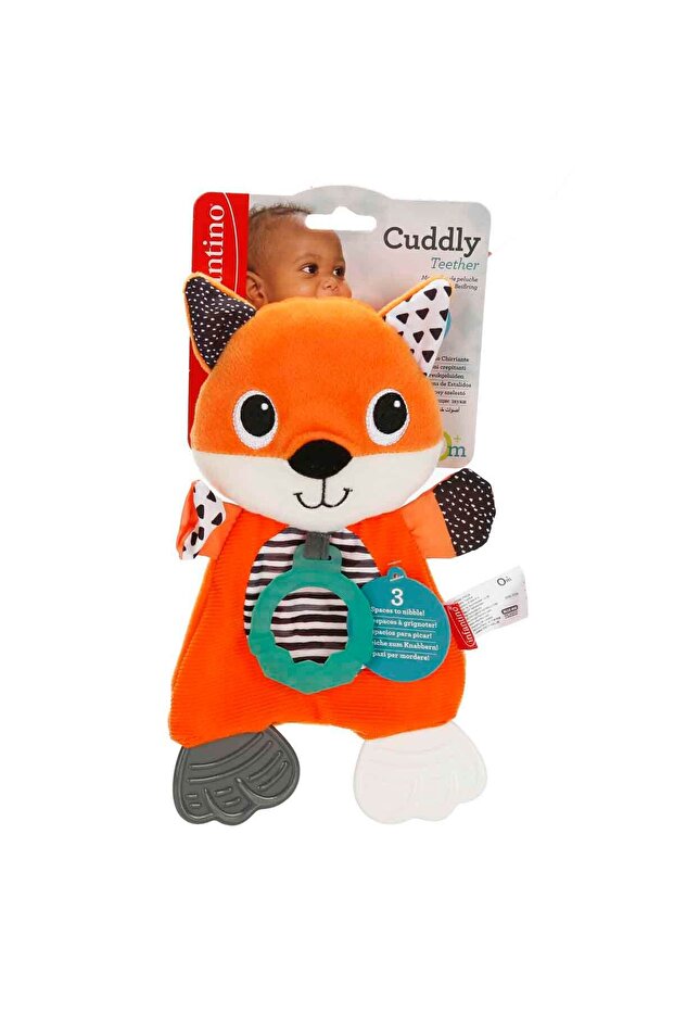 Diş Kaşıyıcılı Sevimli Tilki - 5