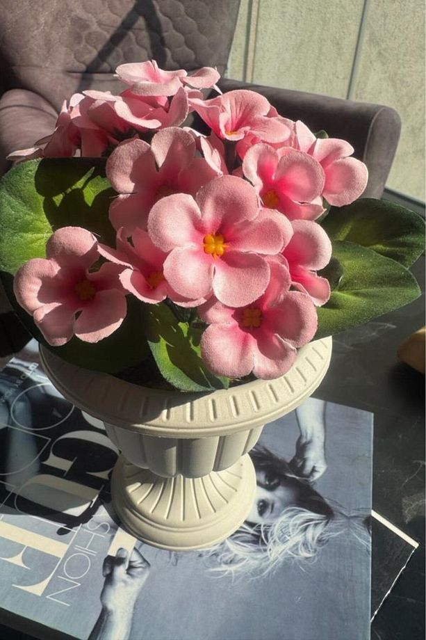 Yapay Çiçek Krem Antik Saksıda Pembe Kadife Menekşe Gerçekçi Doku 22cm - 4