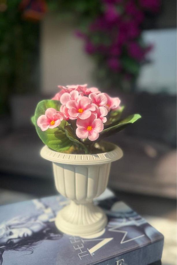 Yapay Çiçek Krem Antik Saksıda Pembe Kadife Menekşe Gerçekçi Doku 22cm - 1