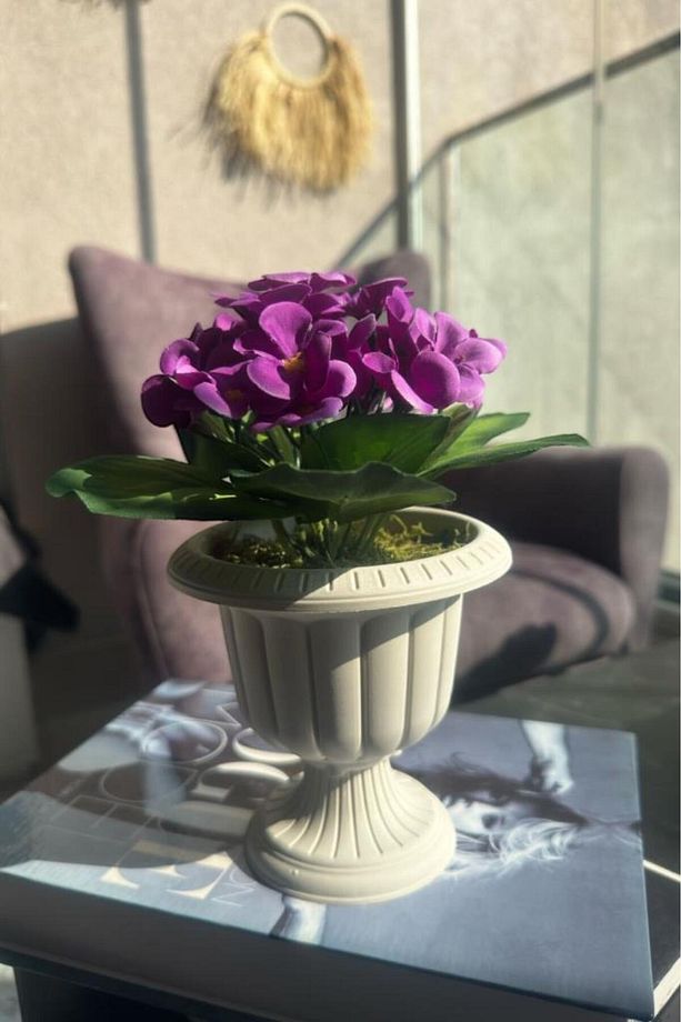 Yapay Çiçek Krem Antik Saksıda Mor Kadife Menekşe Gerçekçi Doku 22cm - 5