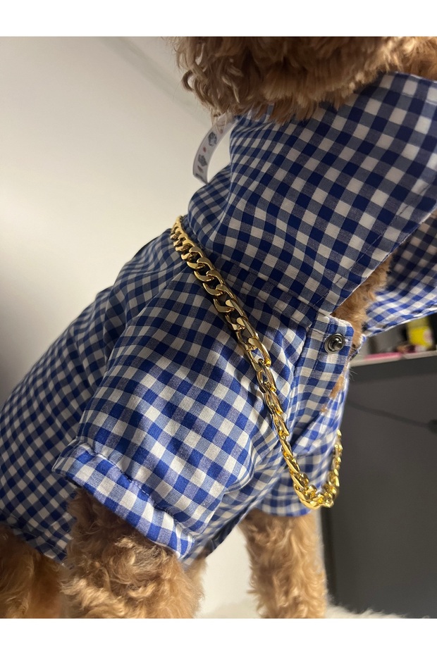 Köpekgömlek