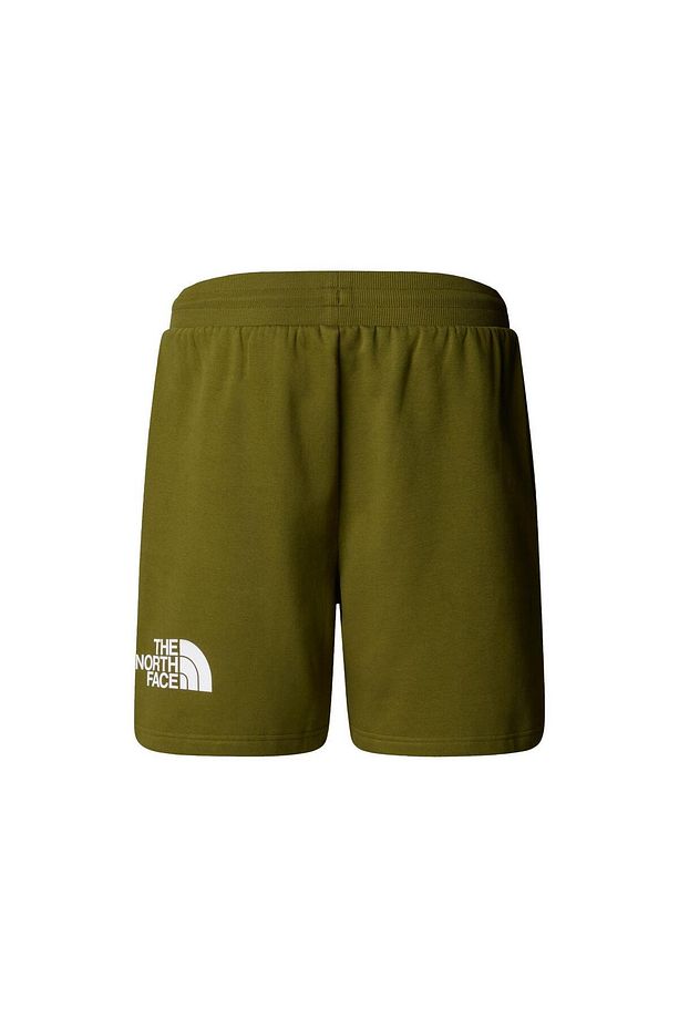 The North Face Erkek EASY REGULAR Şort NF0A8C2SPIB1 Yeşil-REGM - 2