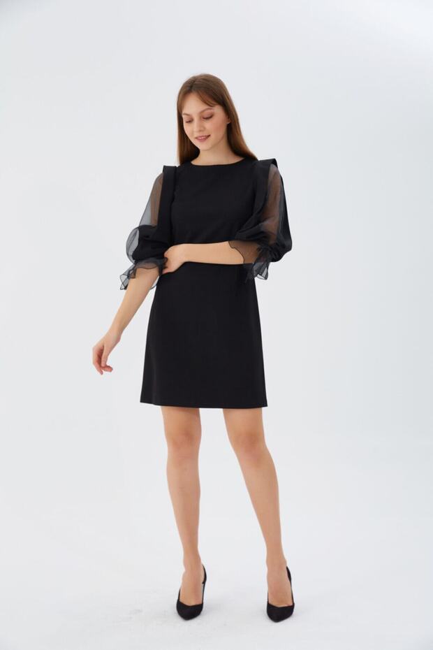 Organze Kol Elbise - 2