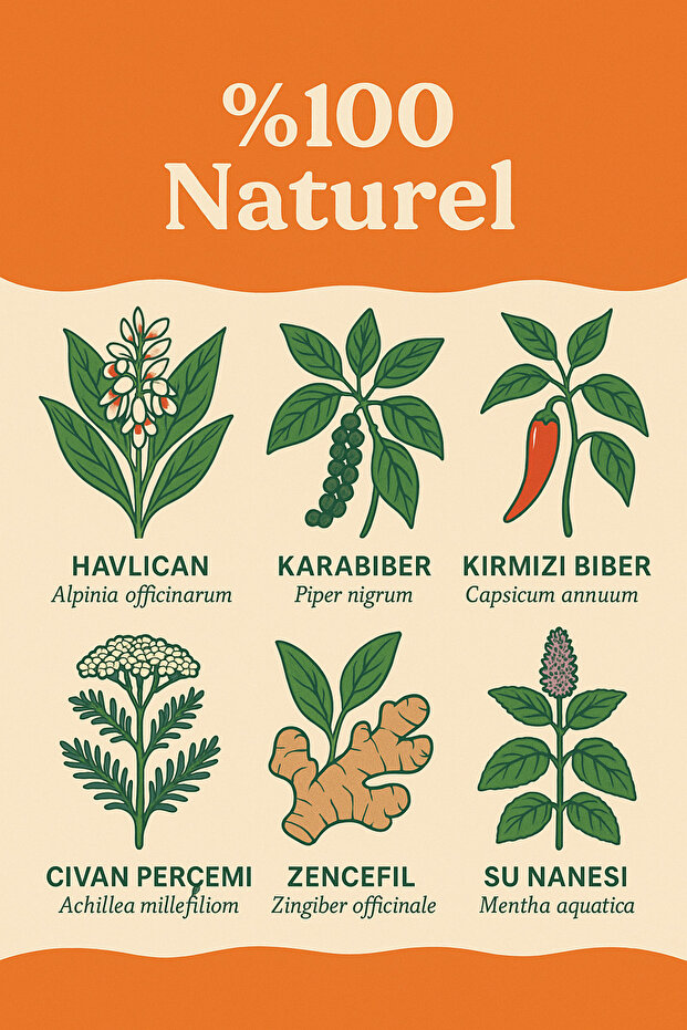 Purethermo Thermogenic Tea 21 Days - 4