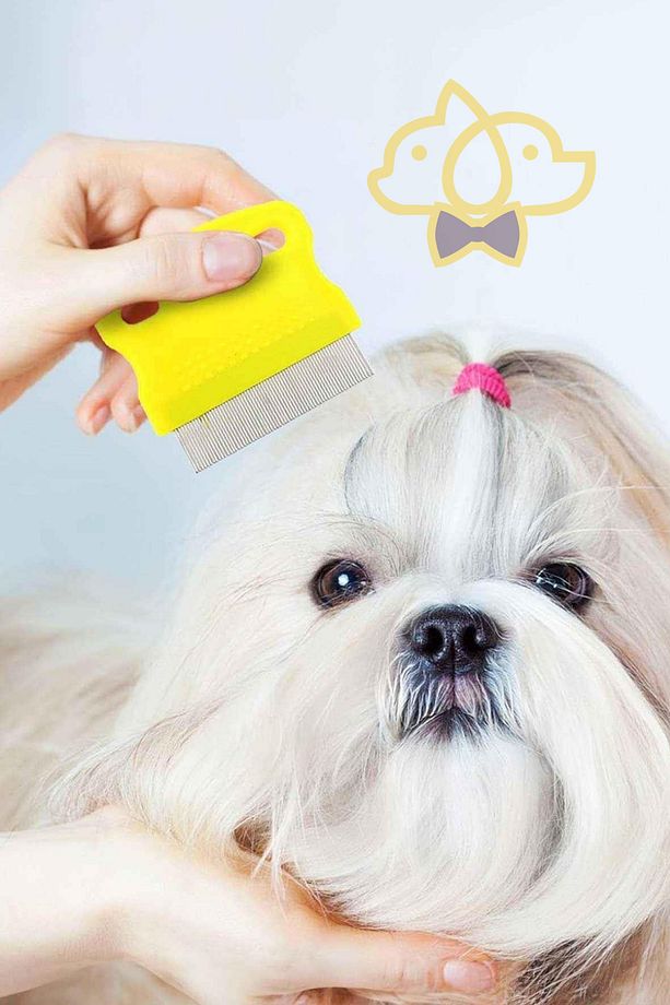 Kedi Köpek Dış Parazit Için Bit Ve Pire Tarağı - 3