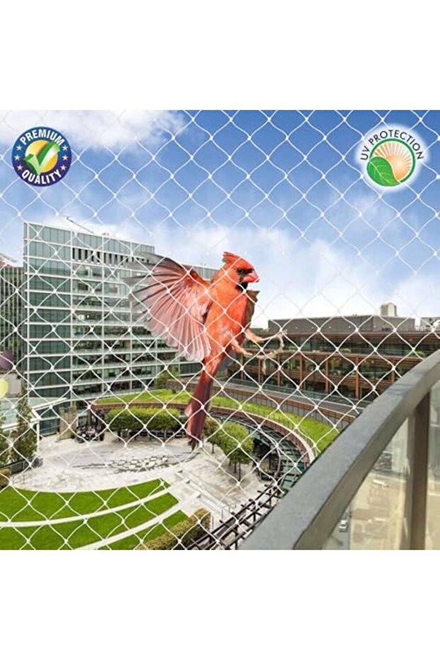 شبكة الطيور - 3