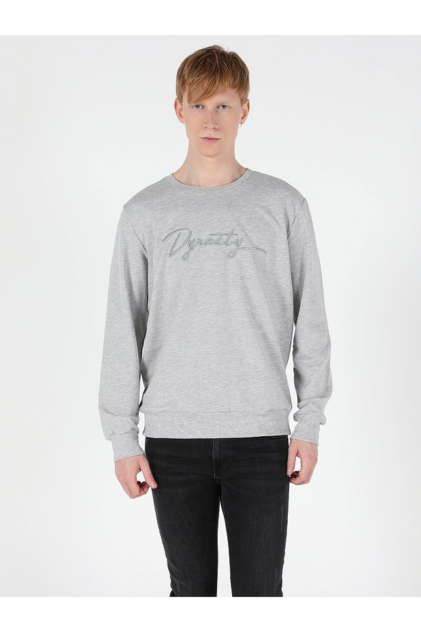 Regular Fit Erkek Gri Sweatshirt - 4
