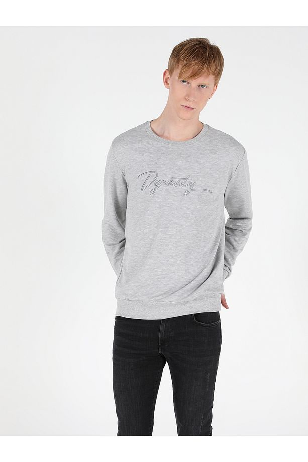 Regular Fit Erkek Gri Sweatshirt - 3