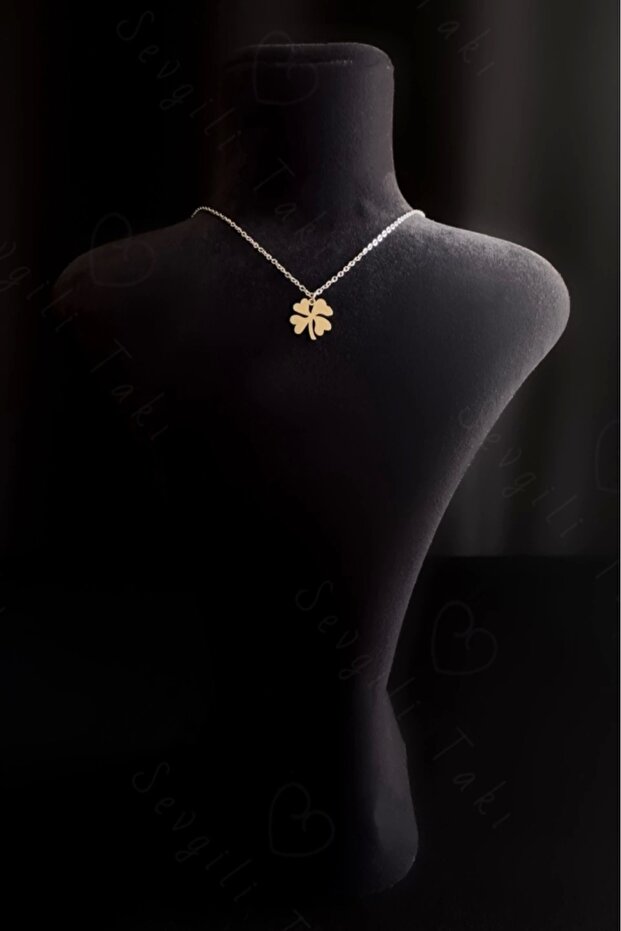 Steel necklace with clover charm | miracle series