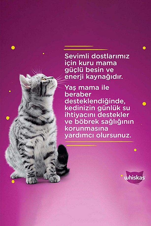 Sığırlı Poşet Kedi Yaş Mama 85 G 12x - 3