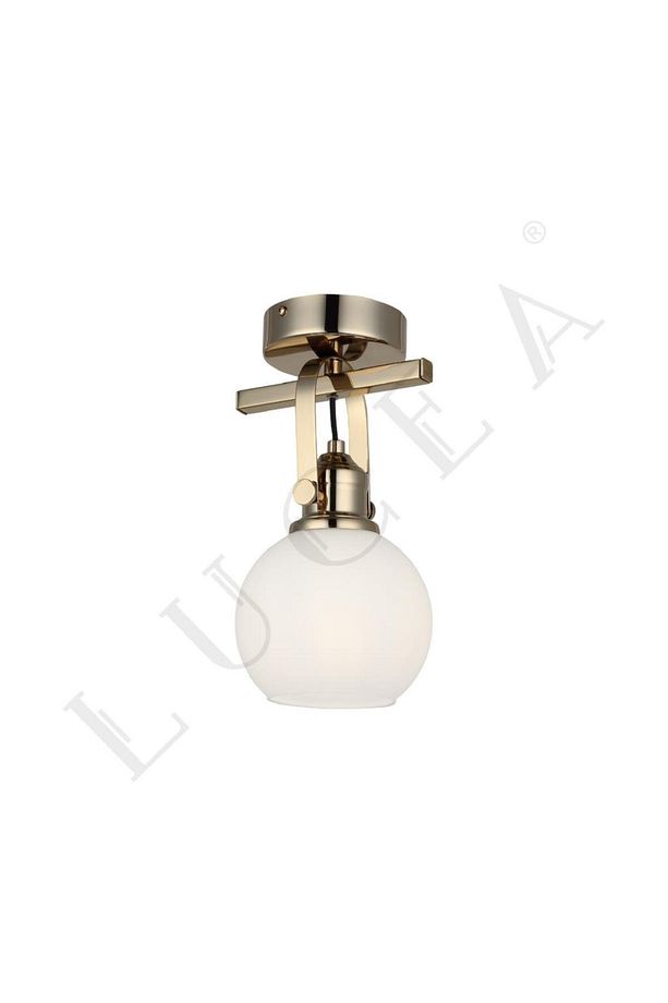 PAMO ALTIN TEKLİ PLAFONYER AVİZE - 1