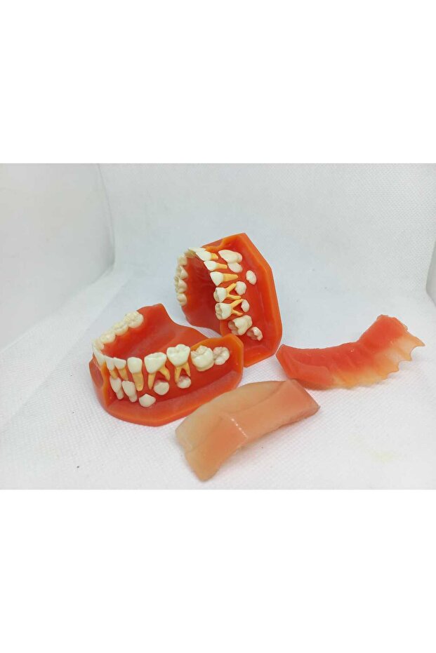 Çene Modeli no: 7012 - 1