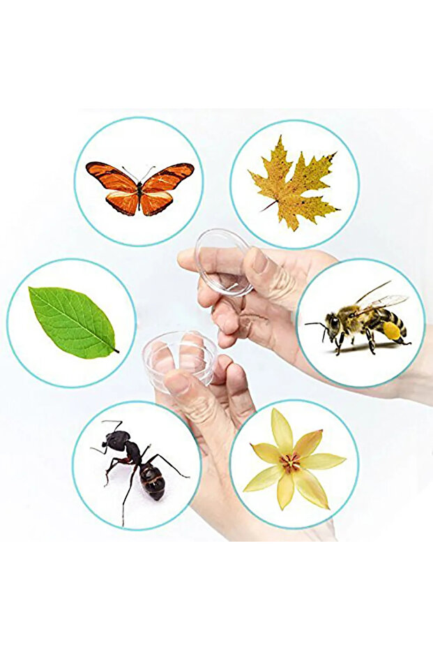 Educational Set, Removable Microscope, Insect Observer, 6 Containers, Rotating Plate - 3