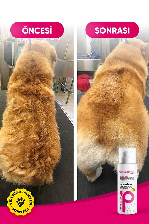 2'li Şampuan Seti - Kedi ve Köpek İçin Kuru Şampuan ve Arındırıcı Şampuan - Pire Parazit Önleyici - 7