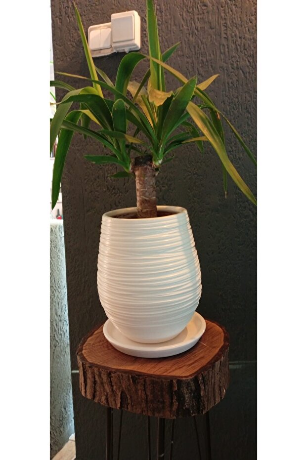 Toprak seramik saksı - 3