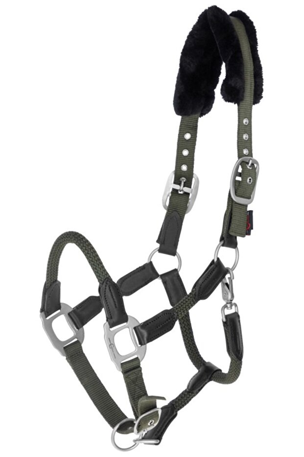 Yular Cob - 1