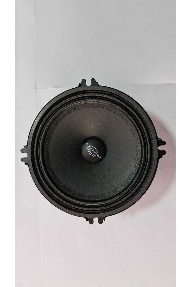 13 cm Midrange 250 watts - 2