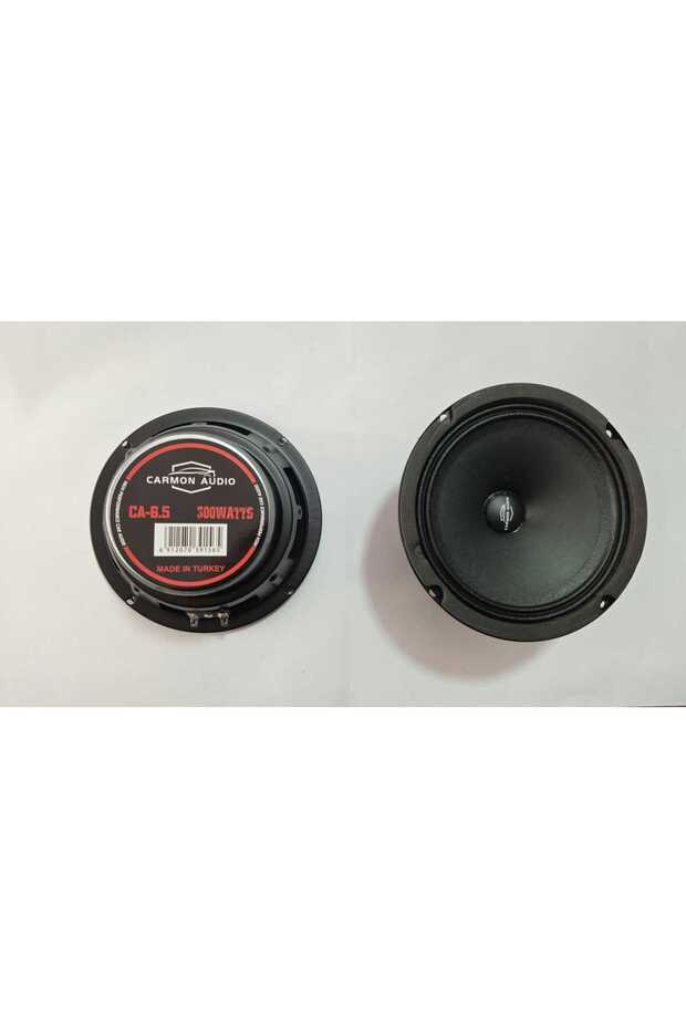 16 cm Mıdrange Speaker 300 Watts - 2