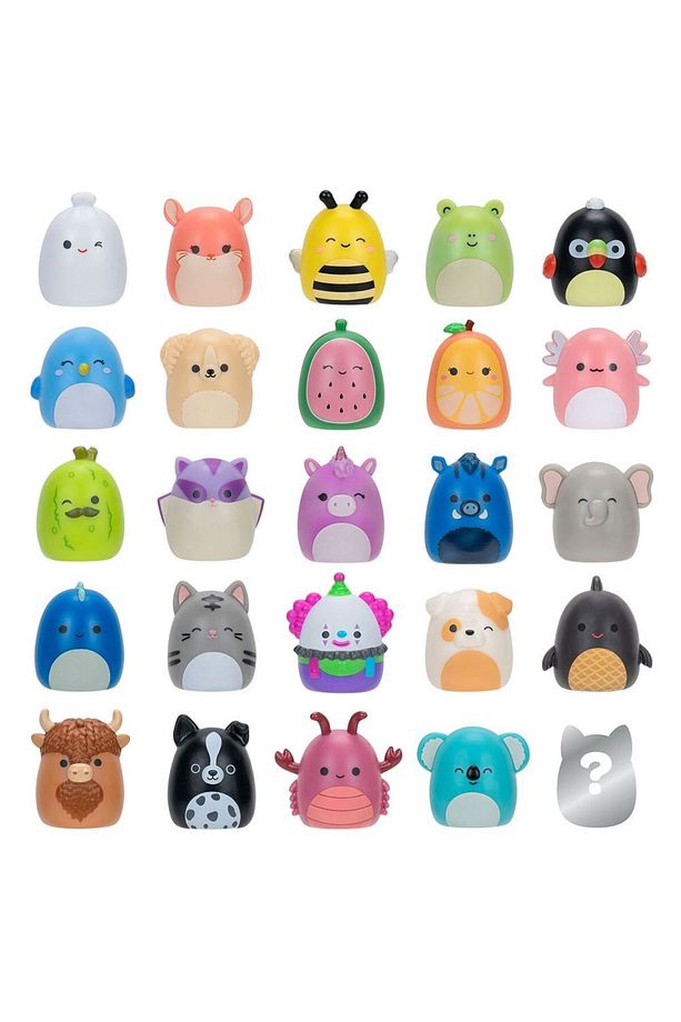 Squishmallows Mini Squish - a - longs 25 li Figür + Yüzük Set Model 1 - 6