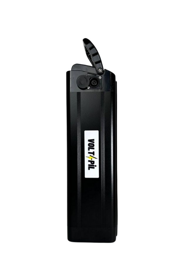 RSI-X Batarya 36v 10ah - 3