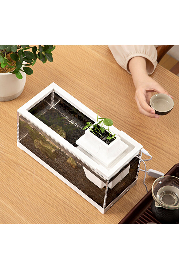 Aquarium fish tank mini - 2