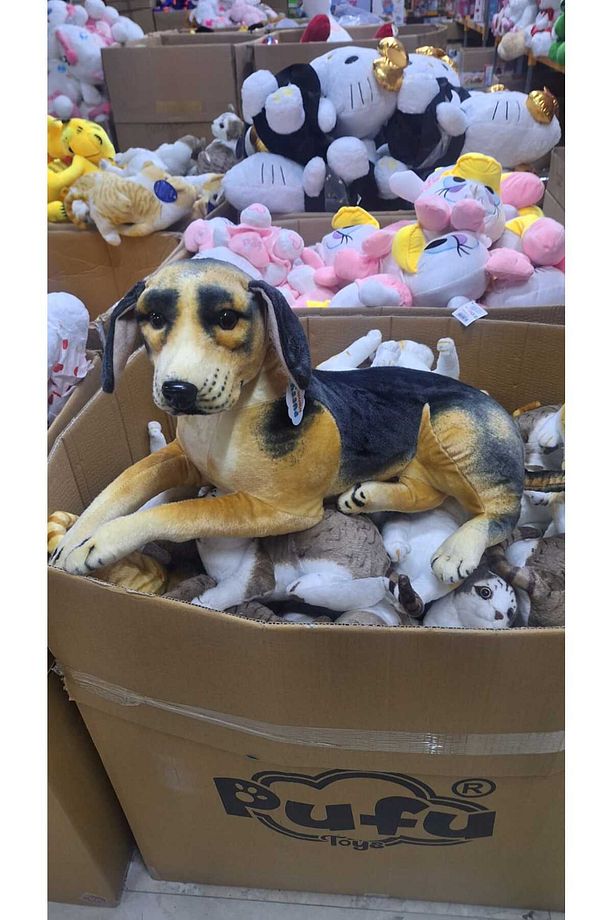 Gerçekçi Görünümlü 70 cm Beagle Peluş Köpek – Yumuşak ve Büyük Boy Oyuncak - 3