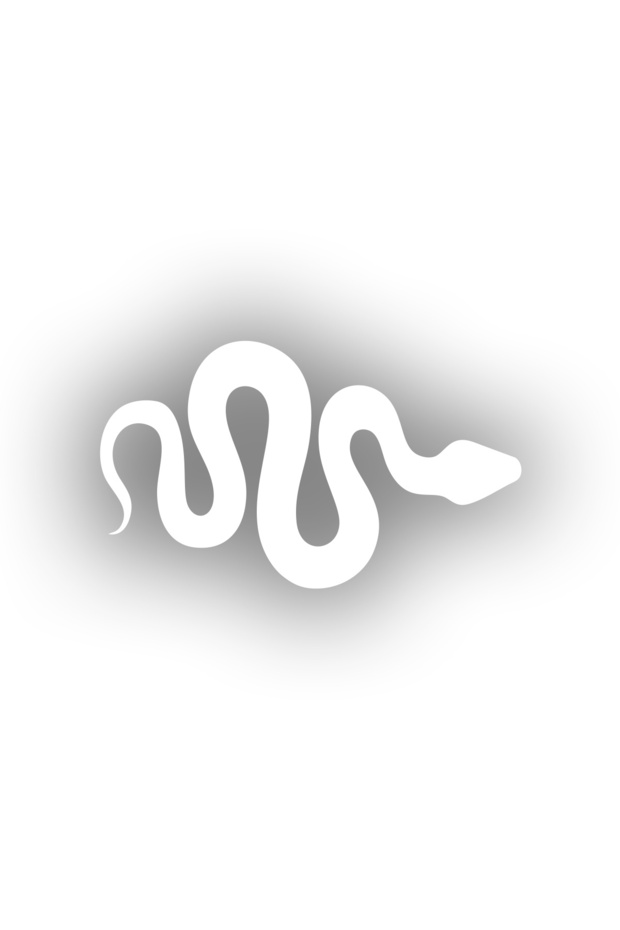 Snake Car Sticker 17X17 cm White
