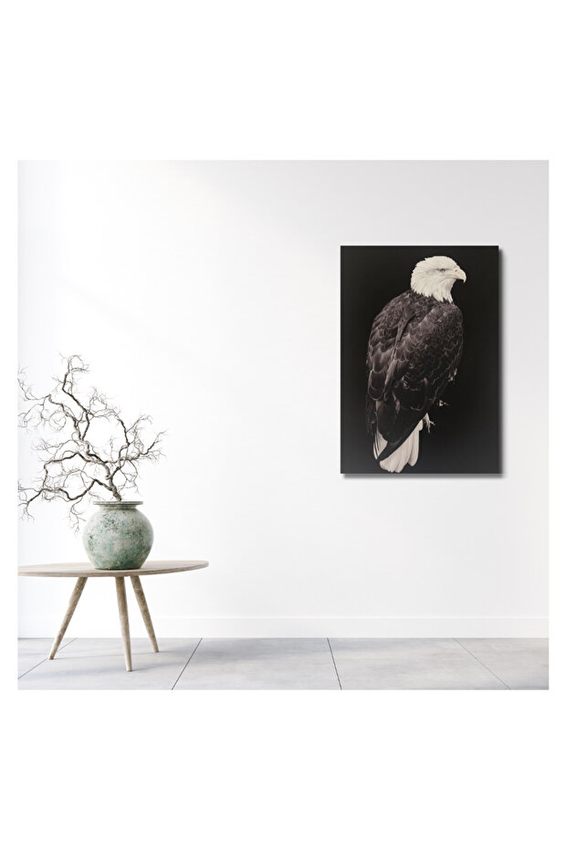 Wall panel - Falcon - 3