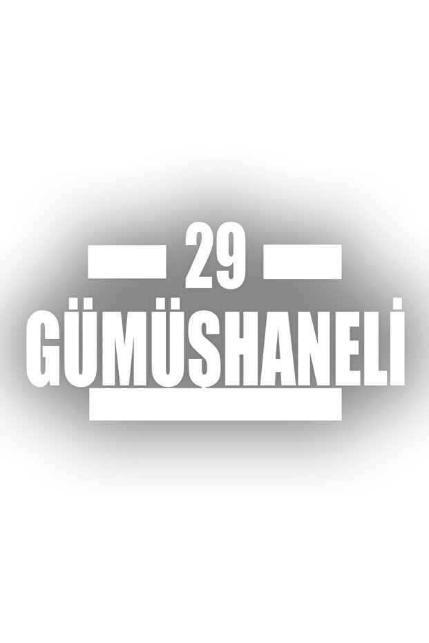 29 Silver Car Sticker 17X17 cm White