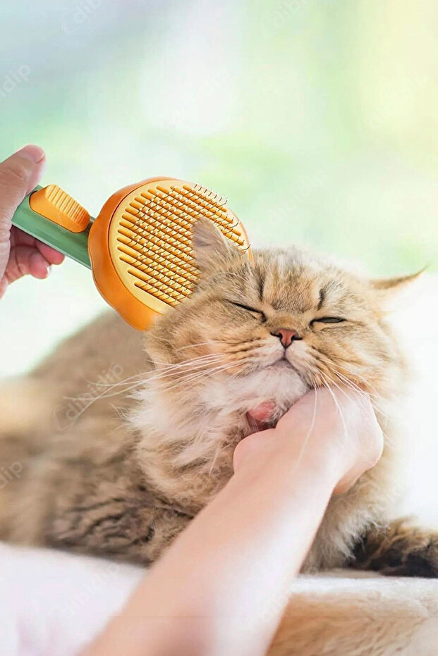 🐶EVCİL HAYVAN TÜY TARAĞI - 4