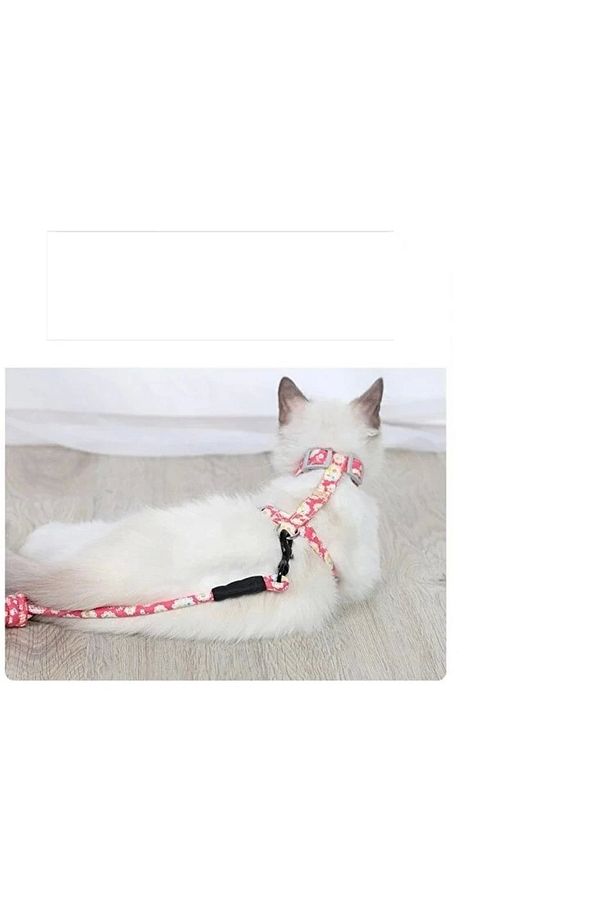 Kedi Gezdirme Göğüs Tasması - 3