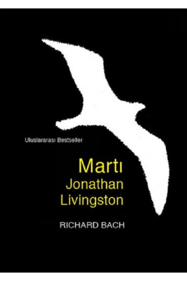 Martı Jonathan Livingston - 3