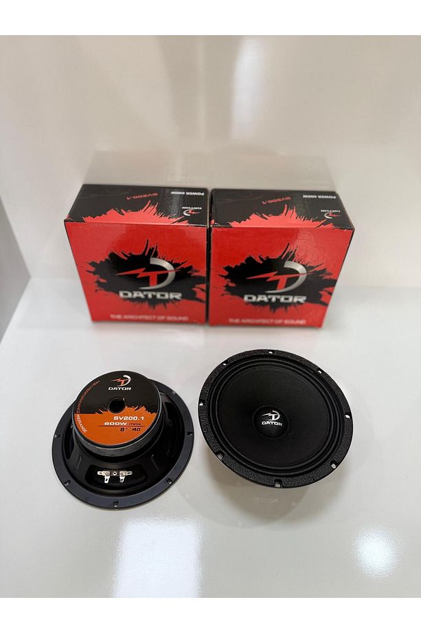 SV200,1 20 CM MİDRANGE 150RMS - 2