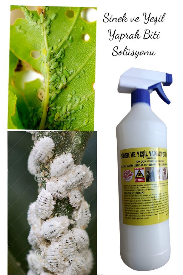 ÇİÇEK VE BİTKİLER İÇİN SİNEK VE YAPRAK BİTİ ILACI 1000 ML - 1