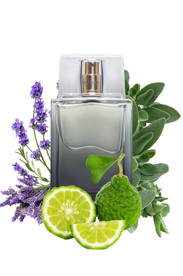 Today Erkek Parfüm Edt 75 Ml. - 2